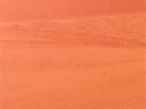 PVC 同质透心地板和 PVC 复合层地板的区别